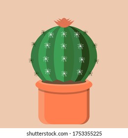 round green cactus with flower and thorns in a pot of earth isolated on a pink background stock illustration
