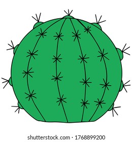 round green cactus for home
