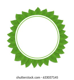 Round green frame with realistic leaves for your text. Vector illustration.