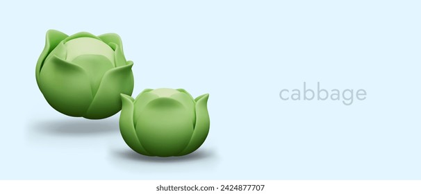 Round green kale cabbage on blue background. Crispy leafy vegetable