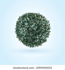 Round green leaf, cute, lovely, green tropical background with small leaves, Botanical background for decor, wallpapers, covers, postcards and presentations, reality plant draw