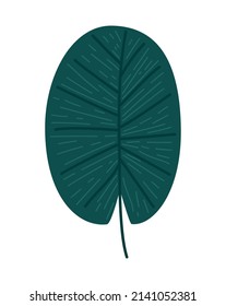 hoja verde redonda sobre blanco