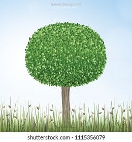 Round of green tree in natural green field area with blue sky and soft light background. Outdoor natural abstract background. Vector illustration.