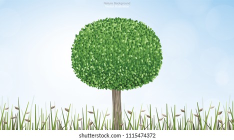 Round of green tree in natural green field area with blue sky and soft light background. Outdoor natural abstract background. Vector illustration.