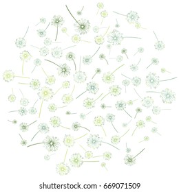 Round green vector dandelion pattern on white. Floral circle background design with taraxacum plant. Blow ball flower with heart shaped feather illustration. Print, ornament, decoration.