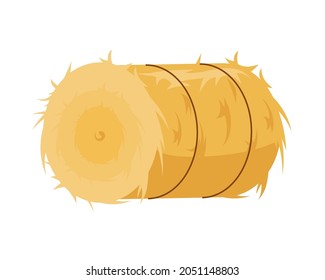 Round haystack. Golden bandaged roll of grass compact hayloft after harvesting grain preparation for feeding vector cattle.