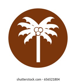 round icon beach palm cartoon