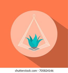 Round Icon with Flat succulent in geometric glass pot, cactus clear greenhouse. Interior design concept