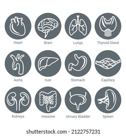 Round Icon set of human internal organs in linear, simple style. Healthcare medicine concept. Vector illustration.