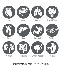 Round Icon set of human internal organs in flat, simple style. Healthcare medicine concept. Vector illustration.
