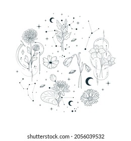 Round illustration with celestial   flowers . Vector isolated spiritual plants, moon and stars for greeting cards and wedding invitations.