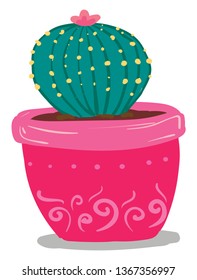 Round indoor cactus pot vector or color illustration