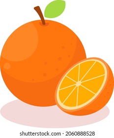  round juicy citrus fruit with a tough bright reddish-yellow rind vector