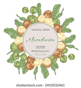 Round label with Macadamia nuts. Hand drawn Macadamia branches with nuts and leaves. Vector illustration botanical.