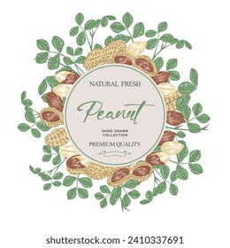 Round label with Peanuts. Hand drawn Peanut palnt. Vector illustration in sketch style.