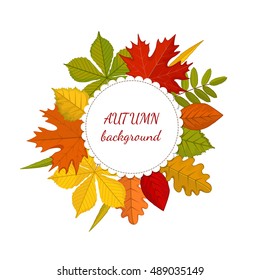 Round label with red, yellow, orange realistic autumn leaves. Autumn background text. Isolated on white background. Vector illustration