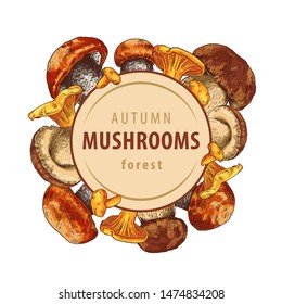 Round label with type design and hand drawn autumn forest mushrooms. Vector illustration.