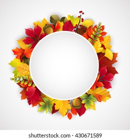 Round label with various autumn leaves.Vector