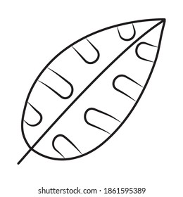 round leaf icon over white background, line style, vector illustration
