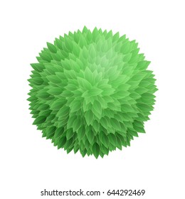 Round leaves background. Tree top view. Green nature abstract vector illustration.