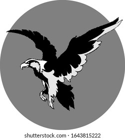 The round logo of the Eagle. Black and white soaring eagle silhouette isolated on white background. Vector image