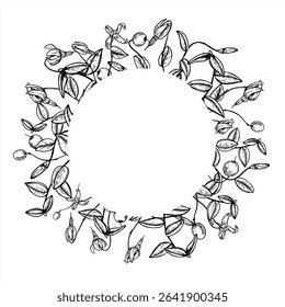 Round monochrome cranberry frame with empty space for text. Etching drawing of wild fruits for herbal medicine labels, health supplement, organic food packaging, and homemade jam branding