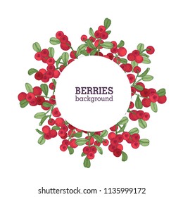 Round natural backdrop or wreath made of lingonberries hand drawn on white background. Decorative frame consisted of red boreal berries and leaves. Elegant colorful realistic vector illustration
