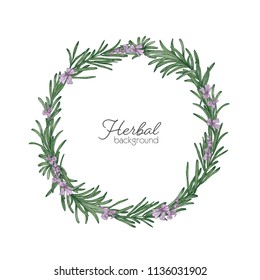 Round natural backdrop or wreath made of rosemary hand drawn on white background. Decorative frame consisted of beautiful aromatic culinary herb. Colorful botanical realistic vector illustration