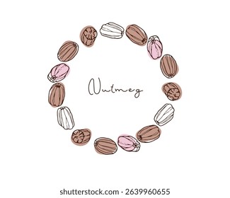 Round Nutmeg Frame, Wreath. Doodle Nutmeg vector illustration with inscription. Seasoning for food, drinks. Organic product sketch for packaging, sale, shop sign. Flavor cooking ingredient.