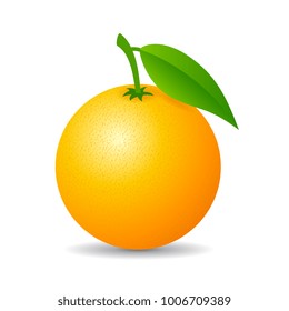 Round orange fruit vector illustration isolated on white background
