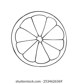 Round orange or lemon slice, simple linear illustration icon