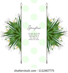 Round ornament of white tulips. Vector greeting card with a polka-dot pattern, separators and space for text