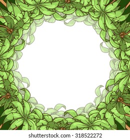 Round palm frame vector illustration, palm tree, round, circle frame, background