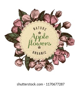 Round paper emblem over hand drawn apple flowers