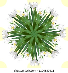 Round pattern of white tulips on seamless background in yellow polka dots