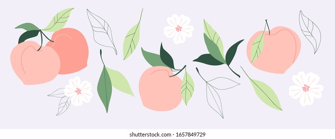 Round peach apricot fruits, leaves and flower. Set of trendy vector hand drawn illustrations. Healthy natural food, juicy summer fruit elements for web, app, textile, wallpaper, stationery design.