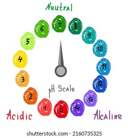  Round pH scale for measuring acid alkaline balance. Chemical value test. Doodle infographics with indicator chart. Hand drawn vector illustration 