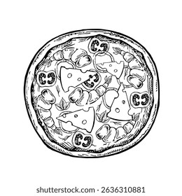 Round pizza with shrimp and cheese. Vector graphics, hand-drawn black and white illustrations. Isolate on a white background. For recipes, menus, pizzeria decoration, packaging, and more.