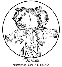 round print with a large iris flower with leaves black lines on a white background