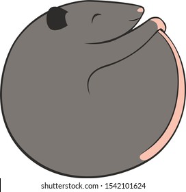 Round rat!  It's a rodent in the shape of a rough ball.  Isolated three  olor simple cartoon vector drawing.