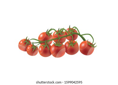 Round Red Chilli Dundicut Vector Illustration on white Background
