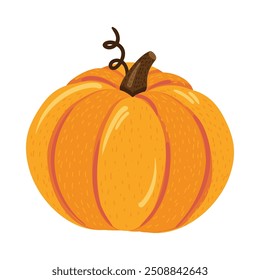 Round ripe orange pumpkin. Autumn fruit, symbol of harvest. Simple color cozy illustration. Hand drawn cartoon vector isolated on white background