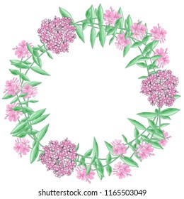 Round romantic floral frame made of pink phlox and green leaves. Wreath for Valentine's Day, wedding invitations and greeting cards. Handmade. Vector illustration

