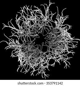 Round roots on black - vector illustration