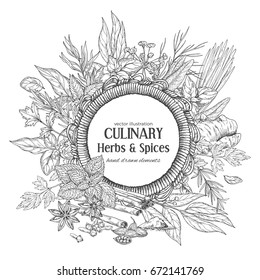 Round rope frame surrounded by culinary herbs and spices, vector illustration