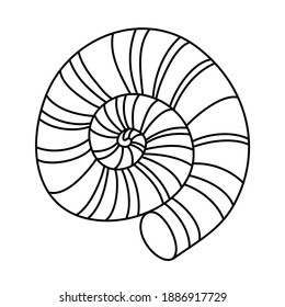 Hojas redondas, concha de moluscos de piedra caliza, ilustración del doodle dibujado a mano en blanco y negro
