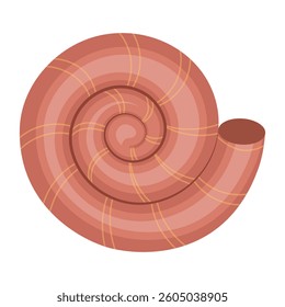 round seashell. Marine life illustration. Perfect for beach, summer, or nautical designs. Vector illustration