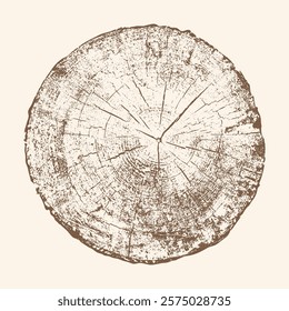 Round section of a tree trunk. Textured surface with rings and cracks. Vector image.