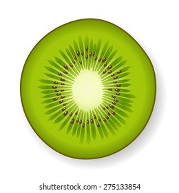 Round section of a tropical green fresh juicy kiwi fruit with visible seeds and core, isolated with shadow on white, vector illustration