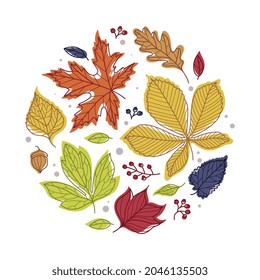 Round Shape with Bright Autumn Foliage of Different Leaf Color Vector Arrangement